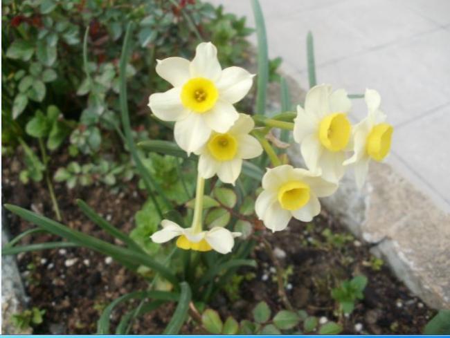 Name:  Ekran Alnts6.jpg
Views: 290
Size:  39.7 KB