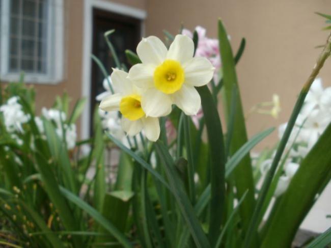 Name:  Ekran Alnts7.jpg
Views: 311
Size:  30.9 KB