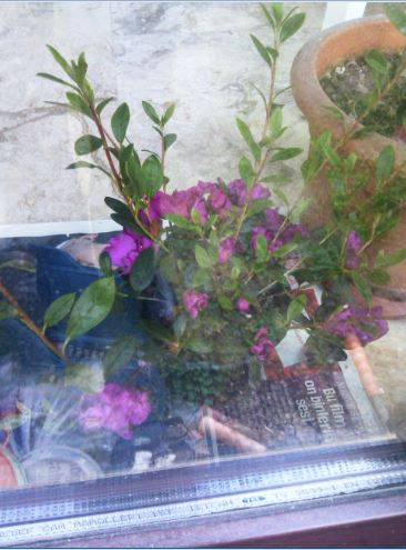 Name:  Ekran Alntsc.JPG
Views: 259
Size:  44.0 KB