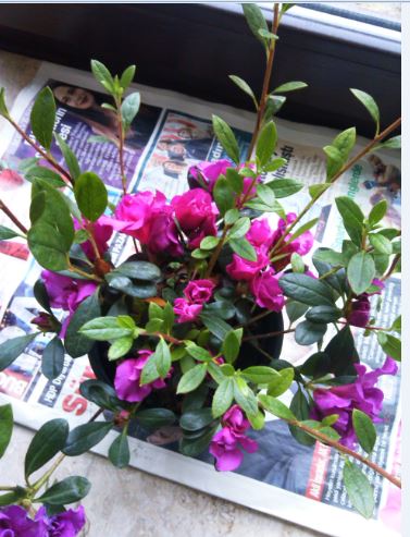 Name:  Ekran Alnts3.JPG
Views: 597
Size:  53.3 KB