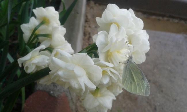 Name:  320150331_171256.jpg
Views: 631
Size:  24.8 KB