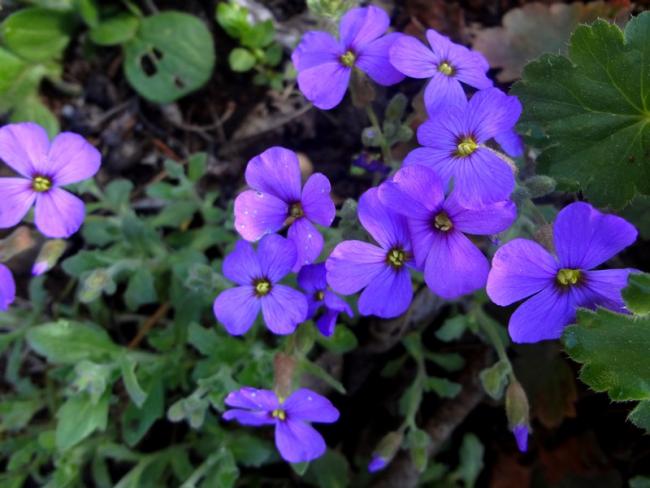 Name:  OBRZYA.jpg
Views: 831
Size:  44.7 KB
