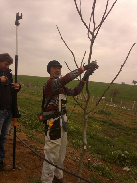Name:  ABCD0020.JPG
Views: 912
Size:  60.2 KB