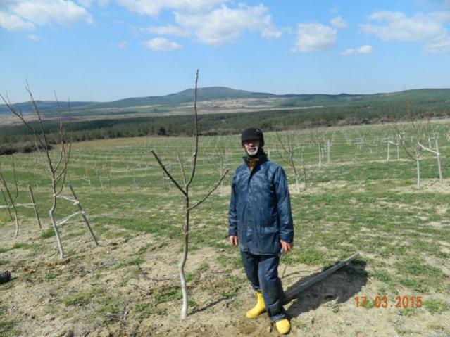 Name:  Resim 685.jpg
Views: 906
Size:  52.6 KB