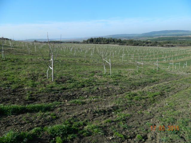 Name:  Resim 678.jpg
Views: 922
Size:  56.1 KB