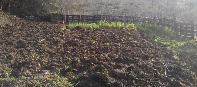 Name:  IMAG0469.jpg
Views: 1439
Size:  52.7 KB