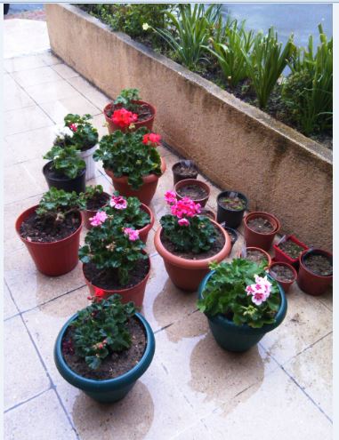 Name:  Ekran Alnts.JPG
Views: 741
Size:  50.9 KB