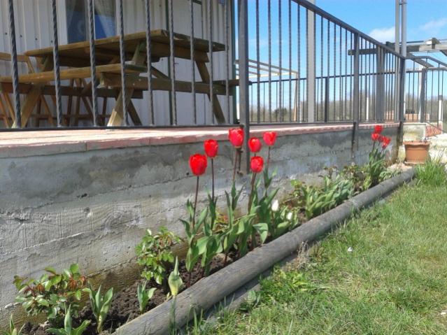 Name:  20150408_112304.jpg
Views: 1143
Size:  65.8 KB