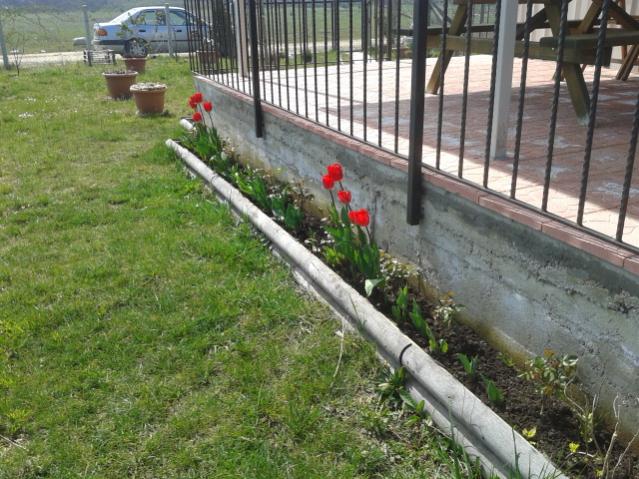 Name:  20150408_112611.jpg
Views: 1131
Size:  69.2 KB