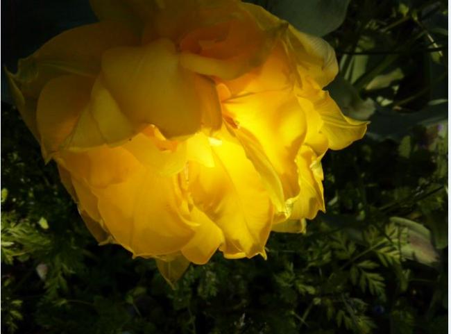 Name:  4b.jpg
Views: 375
Size:  31.9 KB