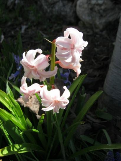 Name:  smbl.jpg
Views: 917
Size:  29.8 KB