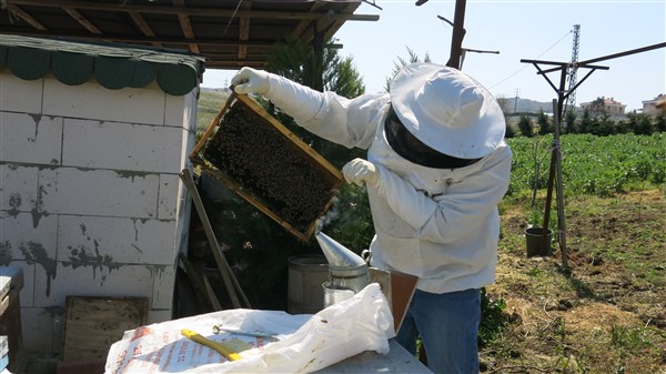 Name:  IMG_1063 (600 x 337).jpg
Views: 1021
Size:  66.7 KB