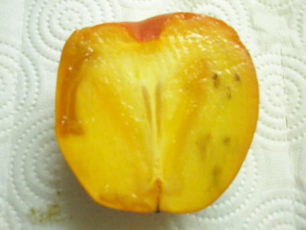 Name:  PC021501.jpg
Views: 4446
Size:  24.8 KB