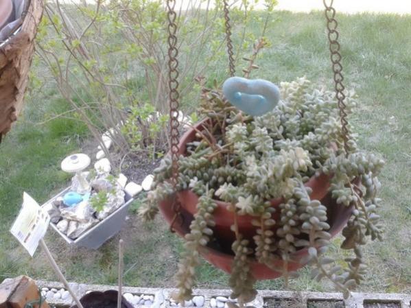 Name:  14 (600 x 450).jpg
Views: 1205
Size:  54.0 KB