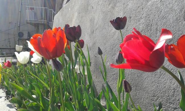 Name:  2-20150418_160550.jpg
Views: 825
Size:  60.2 KB