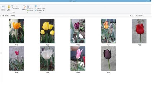 Name:  20150419_122542.jpg
Views: 781
Size:  24.8 KB
