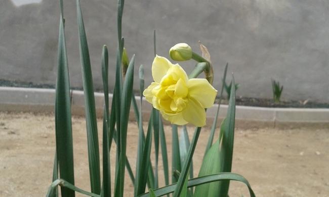 Name:  20150419_171351.jpg
Views: 798
Size:  27.9 KB