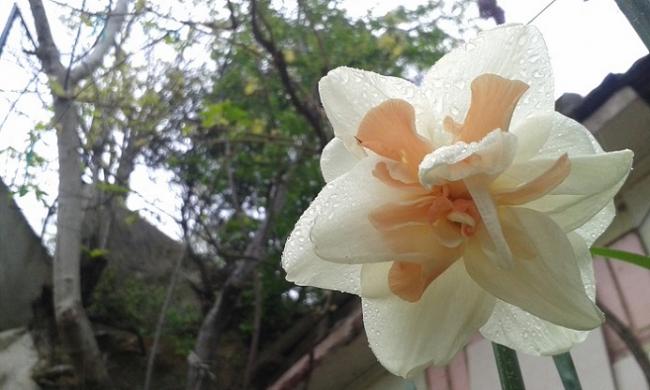 Name:  20150419_185808.jpg
Views: 783
Size:  38.0 KB