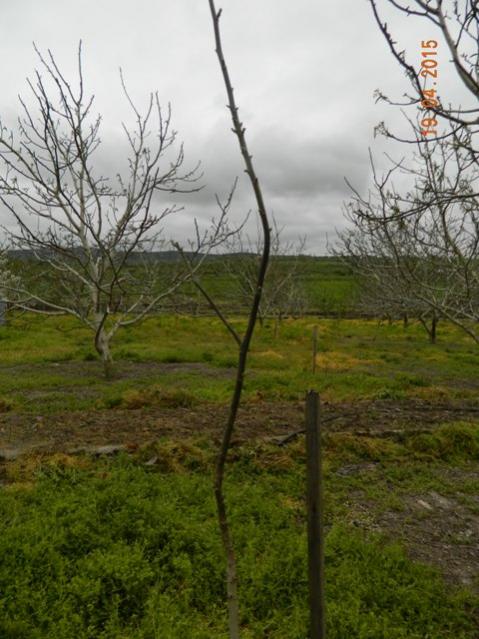 Name:  Resim 720.jpg
Views: 1221
Size:  53.1 KB