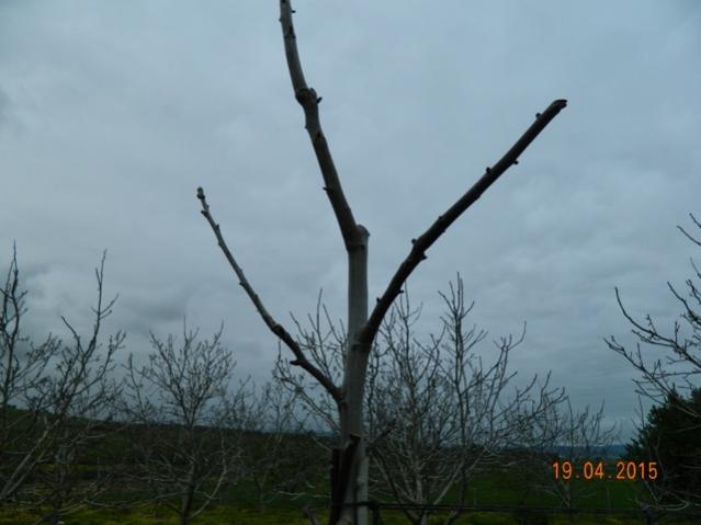 Name:  Resim 708.jpg
Views: 1217
Size:  31.2 KB