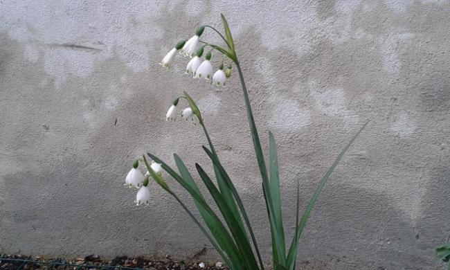 Name:  20150420_215539.jpg
Views: 731
Size:  49.7 KB