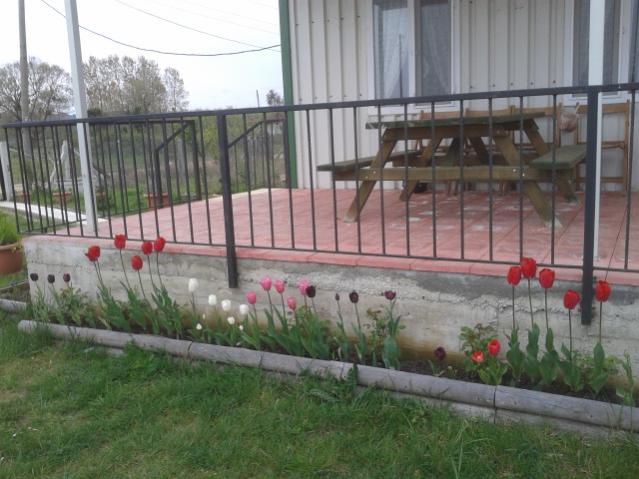 Name:  20150421_095036.jpg
Views: 1005
Size:  51.8 KB