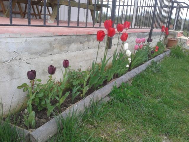 Name:  20150421_094834.jpg
Views: 1002
Size:  58.3 KB