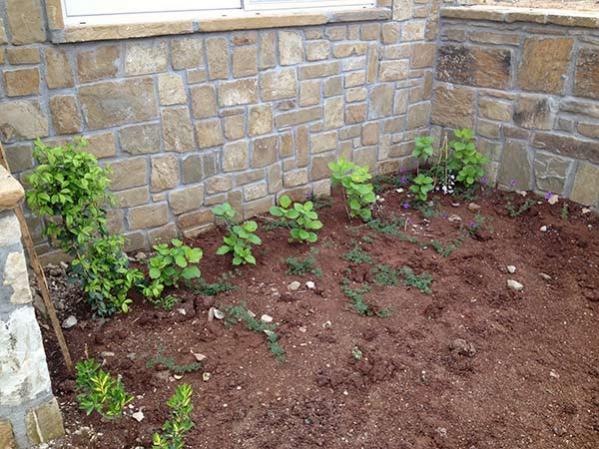 Name:  msaygin_bahce14.jpg
Views: 656
Size:  66.5 KB