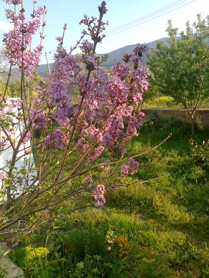 Name:  Fotoraf2235.jpg
Views: 457
Size:  75.2 KB