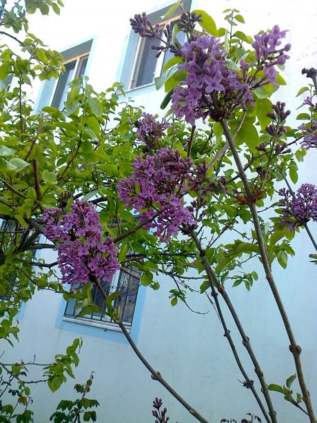 Name:  Fotoraf2220.jpg
Views: 478
Size:  79.3 KB