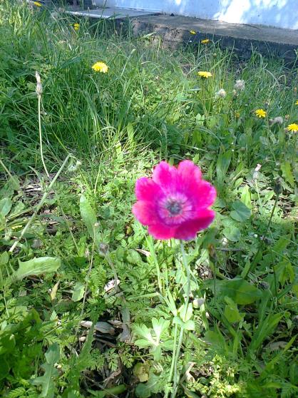 Name:  Fotoraf2216.jpg
Views: 456
Size:  77.6 KB