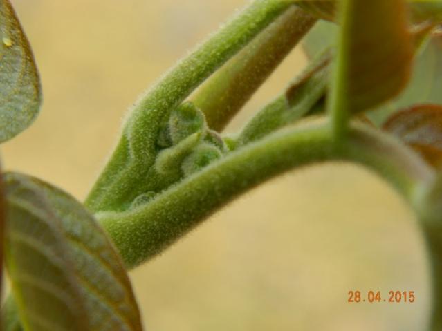 Name:  Resim 715.jpg
Views: 1153
Size:  24.0 KB
