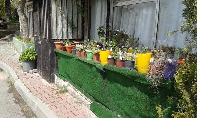 Name:  20150430_141156.jpg
Views: 674
Size:  58.1 KB