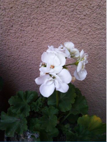 Name:  sb3.JPG
Views: 538
Size:  39.2 KB
