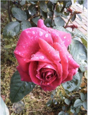 Name:  g6.JPG
Views: 537
Size:  48.6 KB