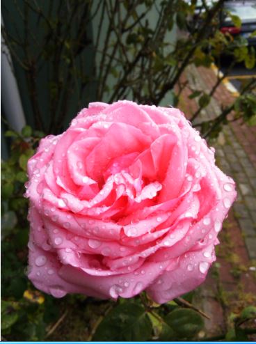 Name:  g7.JPG
Views: 565
Size:  41.2 KB