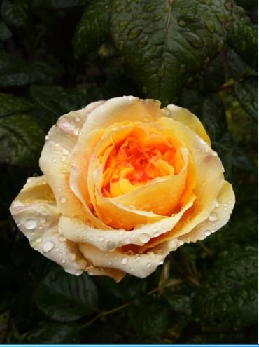 Name:  s2.JPG
Views: 326
Size:  36.1 KB