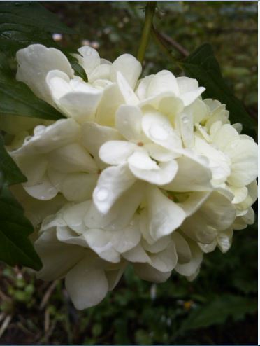 Name:  k4.JPG
Views: 533
Size:  32.0 KB