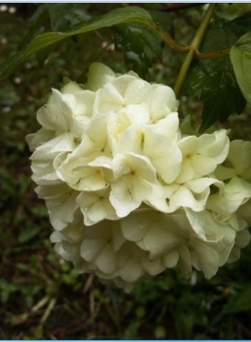 Name:  k5.JPG
Views: 546
Size:  33.5 KB