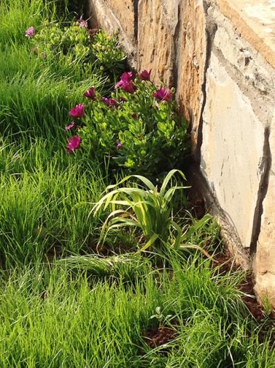 Name:  msaygin_bahce25.jpg
Views: 500
Size:  68.7 KB