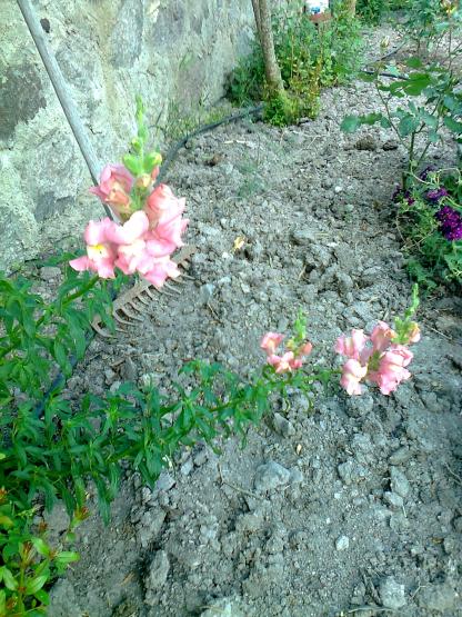 Name:  Fotoraf2387.jpg
Views: 283
Size:  75.4 KB