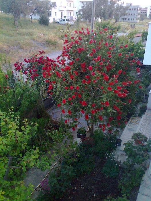 Name:  Fotoraf2473.jpg
Views: 348
Size:  73.8 KB