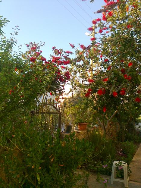 Name:  Fotoraf2447.jpg
Views: 362
Size:  74.7 KB