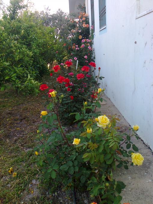 Name:  Fotoraf2485.jpg
Views: 350
Size:  73.1 KB