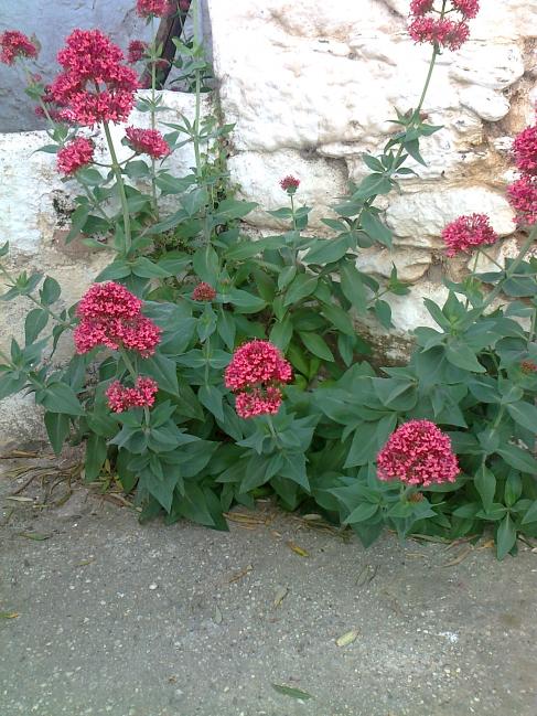 Name:  Fotoraf2566.jpg
Views: 411
Size:  74.8 KB