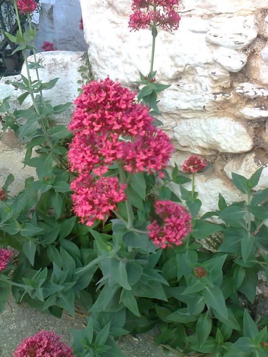 Name:  Fotoraf2565.jpg
Views: 426
Size:  75.0 KB