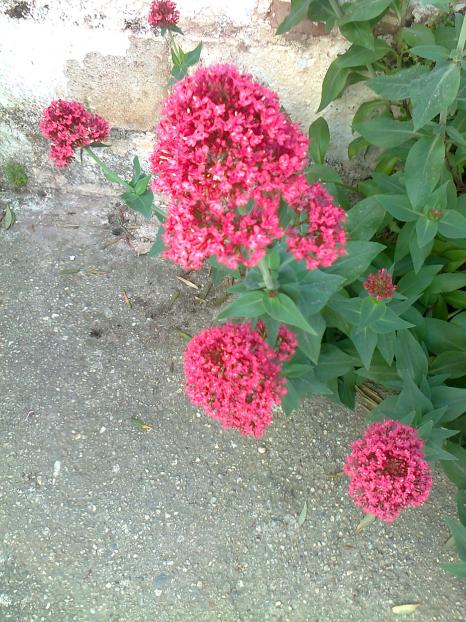 Name:  Fotoraf2564.jpg
Views: 411
Size:  74.8 KB