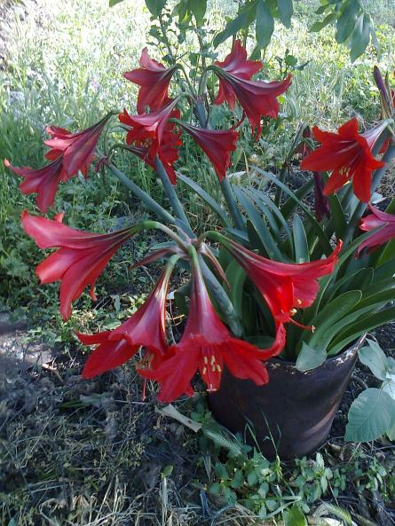 Name:  Fotoraf2578.jpg
Views: 419
Size:  77.4 KB