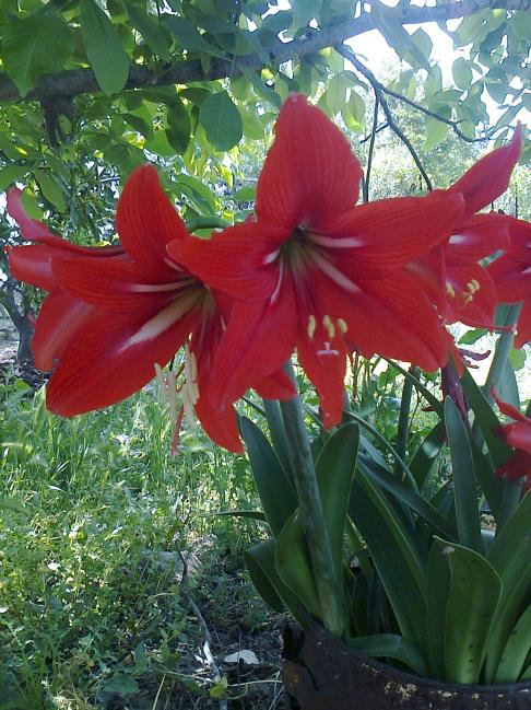 Name:  Fotoraf2574.jpg
Views: 408
Size:  75.5 KB