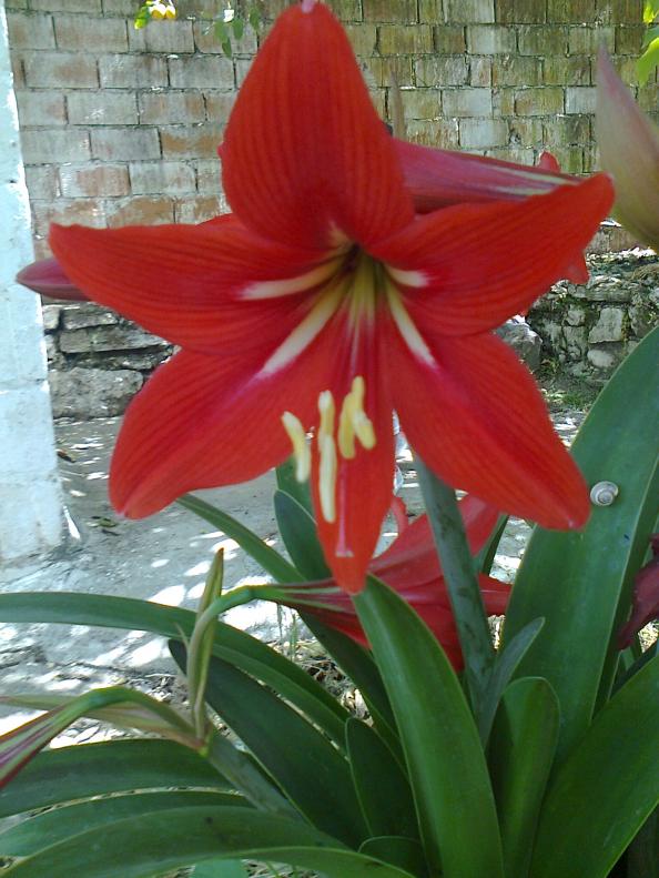 Name:  Fotoraf2573.jpg
Views: 413
Size:  71.9 KB